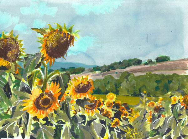 Sunflowers Two