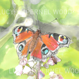 Original Butterfly Painting