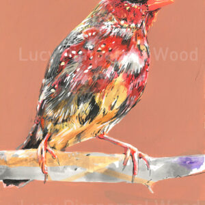 Original Strawberry Finch Painting
